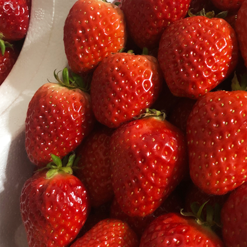 1KG of fresh strawberries with high sugar content and fresh fragrance delivered directly from the farm