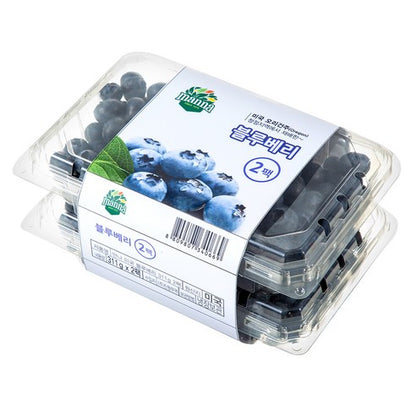 Meet American Blueberries