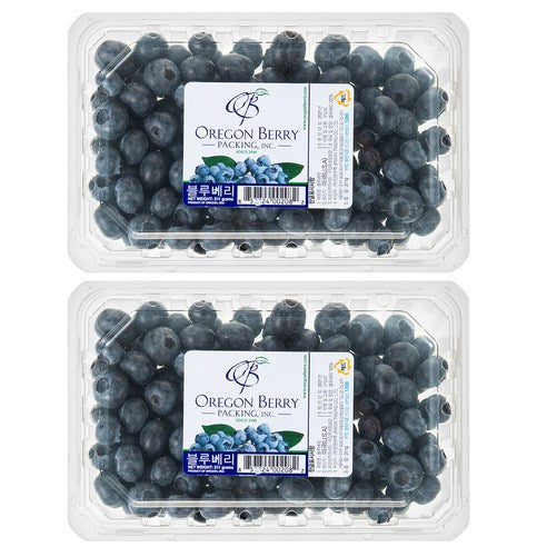 Meet American Blueberries