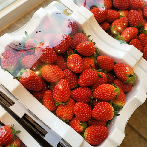 1KG of fresh strawberries with high sugar content and fresh fragrance delivered directly from the farm